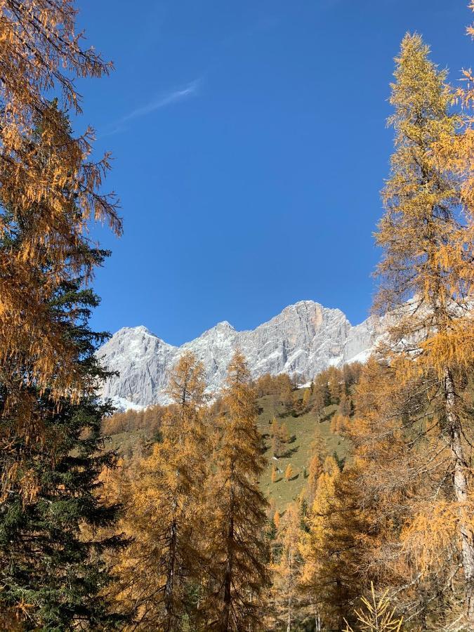 Aparthotel Das Hochkoenig Ramsau am Dachstein Exterior foto